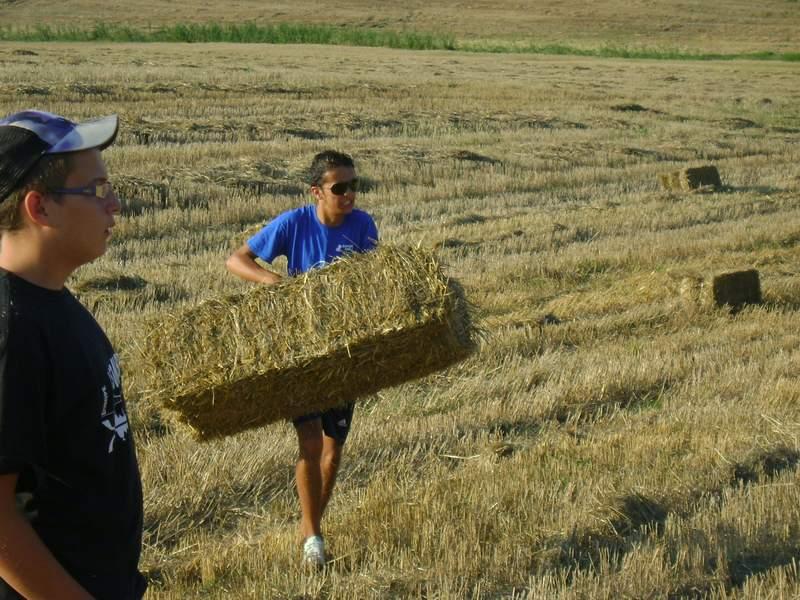 Preparazione campo (10).JPG
